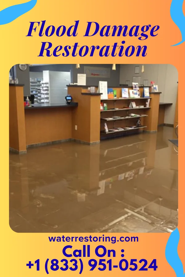 Flood Damage Restoration in St. Augustine Shores, FL